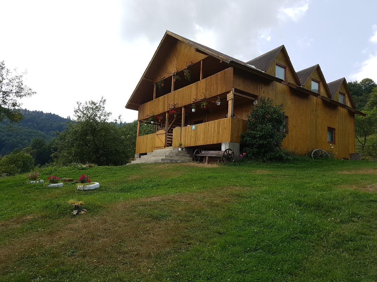 Cabana Suciu Villa Rachitele Exterior foto